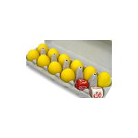 ダンシングエッグ